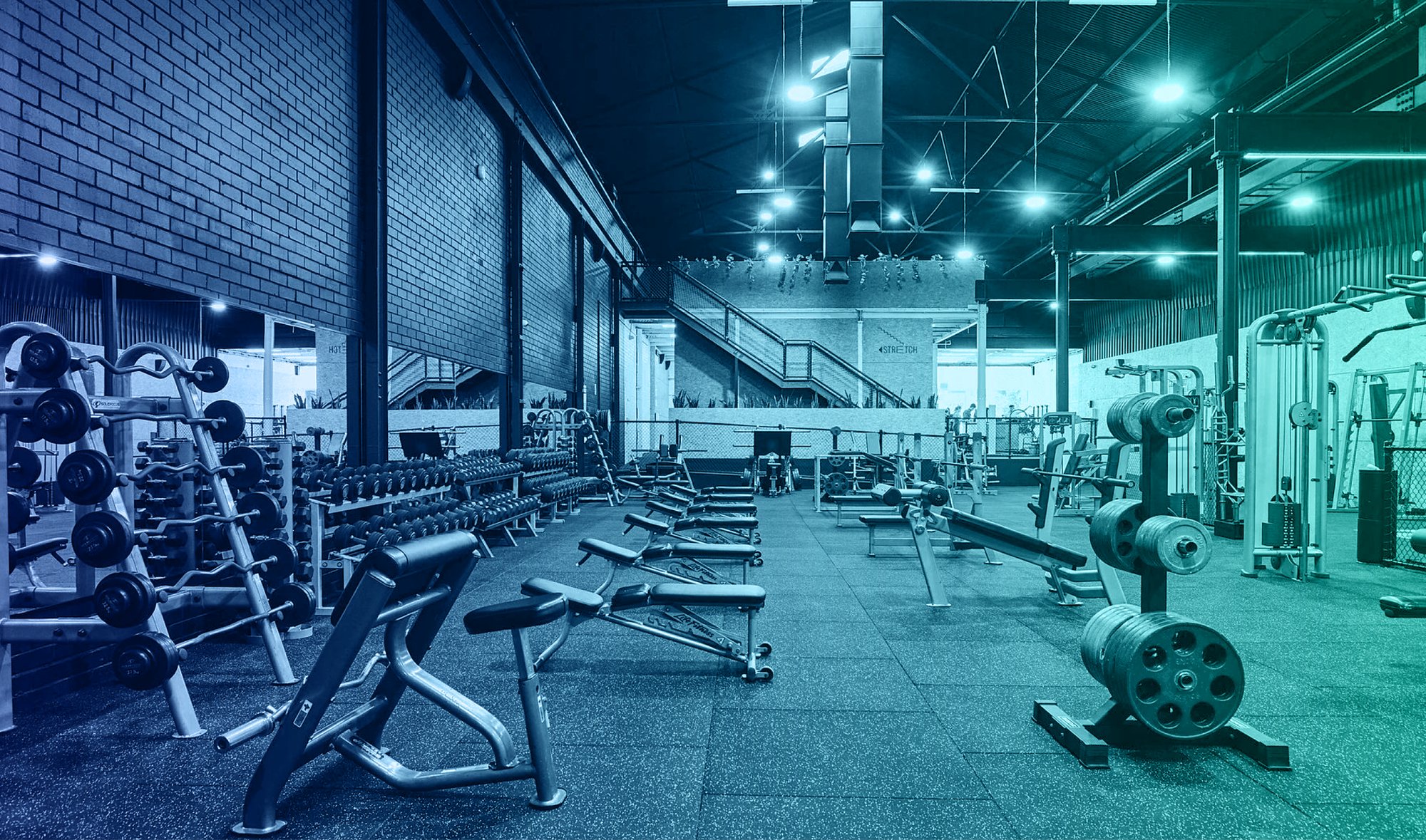 P24_0277 Case Study - Revo_v1-1